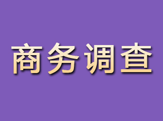 阿荣旗商务调查